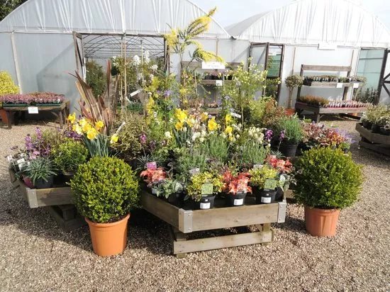The Place for Plants