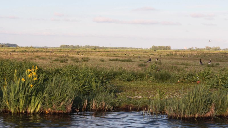 De Poelboerderij