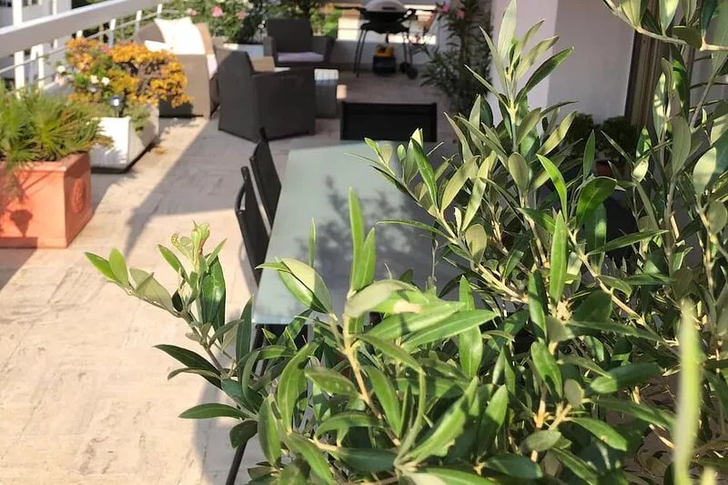 Cannes, Palm Beach, Penthouse 50 meters from the Beach