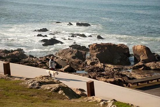 Praia do Homem do Leme