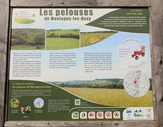 Pelouses Calcicoles de la Cote Chalonnaise