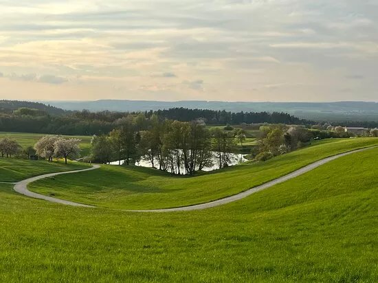 Kalchreuther Kirschblute