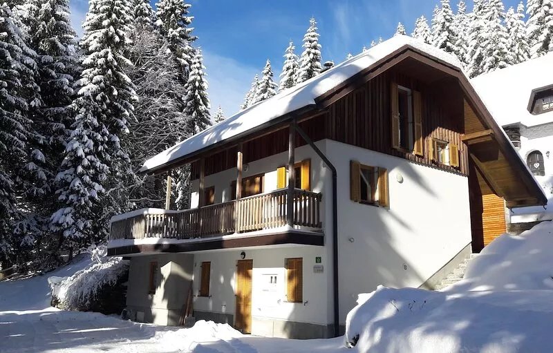 Chalet Harmony Rogla - duplex apartment