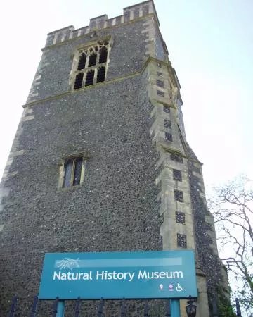Colchester's Natural History Museum