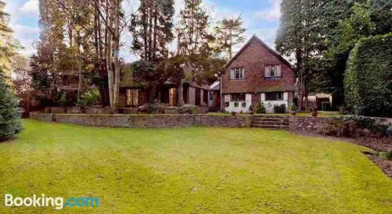 Double Room In The Borders Of Cobham And Oxshott