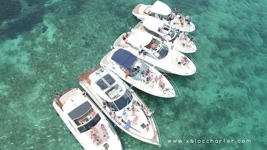 Xaloc Charter