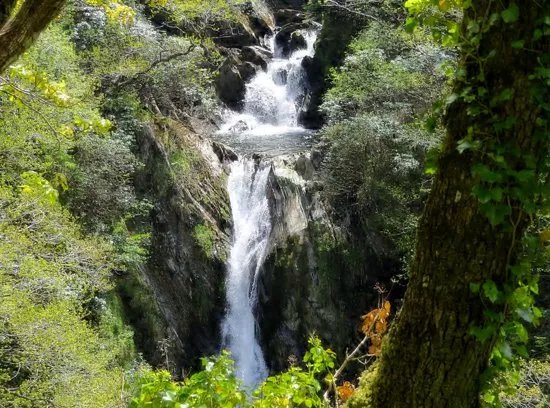 Devil's Bridge Waterfalls