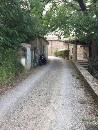 Italy Vespa Rental