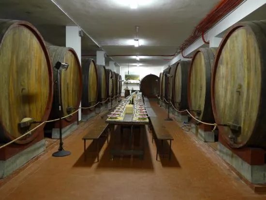 Fattoria del Teso