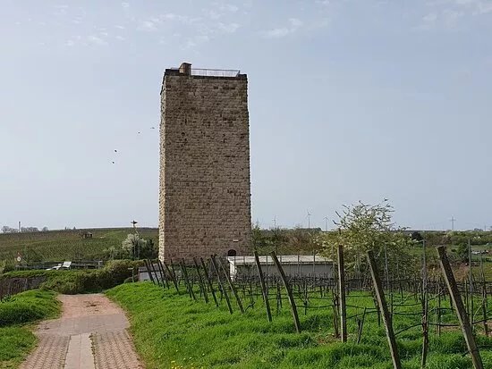 Schlossturm Schwabsburg