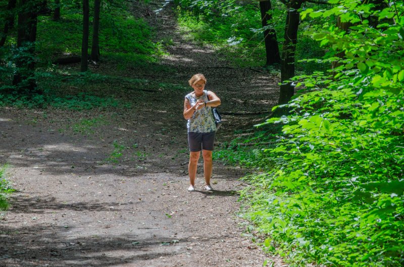 Sciezka dydaktyczna Rudnica – Pustynia Bledowska – Biala Przemsza
