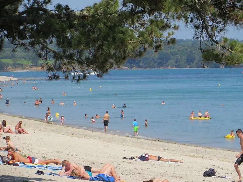 facing the sea, ground floor apartment in a luxury residence with swimming pool,