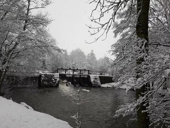 Parc Des Bords De L'yerre