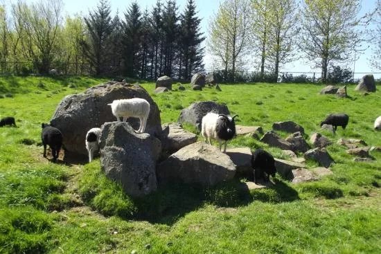 Reykjavik Family park and Zoo