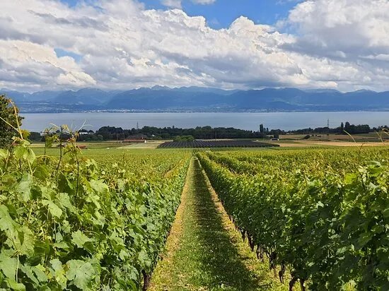 Domaine De La Vissenche
