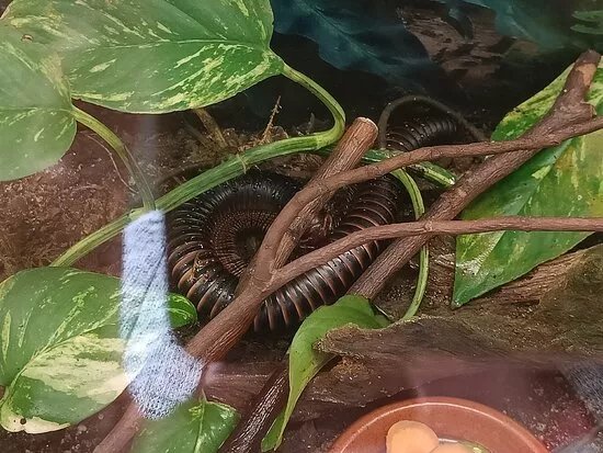 Meeresaquarium am Fichtelberg