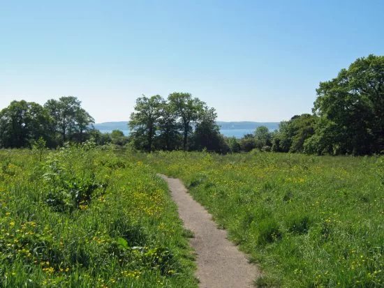 Bashfordsland Wood and Oakfield Glen