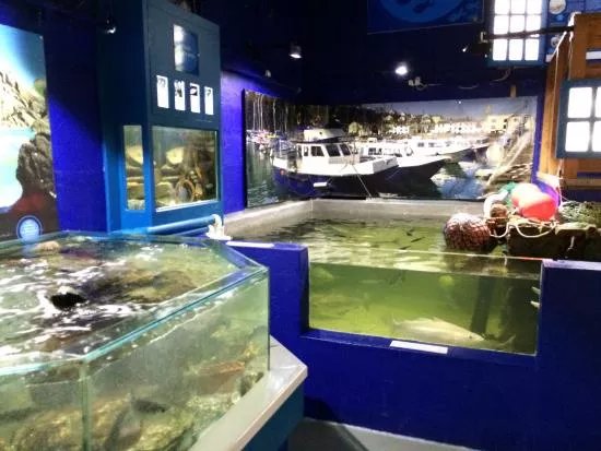 Ilfracombe Aquarium
