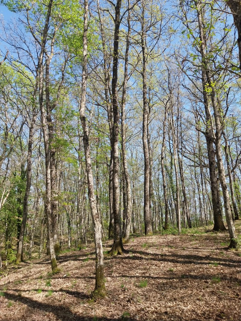 Riserva Naturale Di Pietraporciana