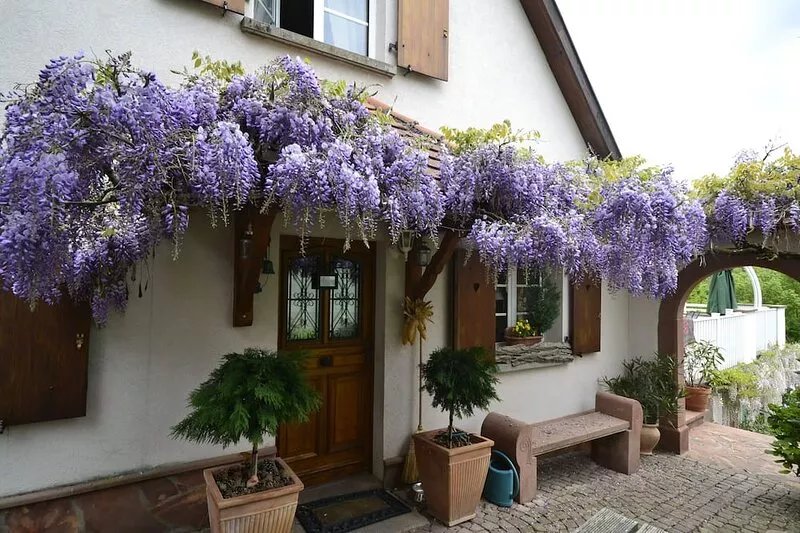 Charming house with private pool 4 ⭐️