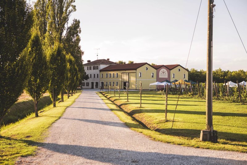 Vigne Del Bosco Olme