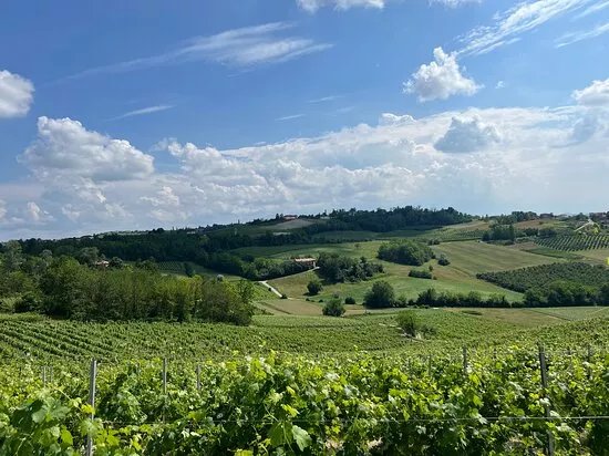 Azienda Agricola Vitivinicola Bianco