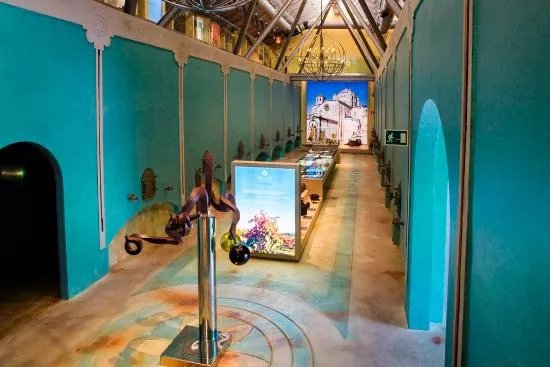 Museo del Vino Pagos del Rey