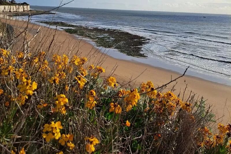 Seaside House - 450m to Beach/Shops & Free Parking for 2 Cars on drive