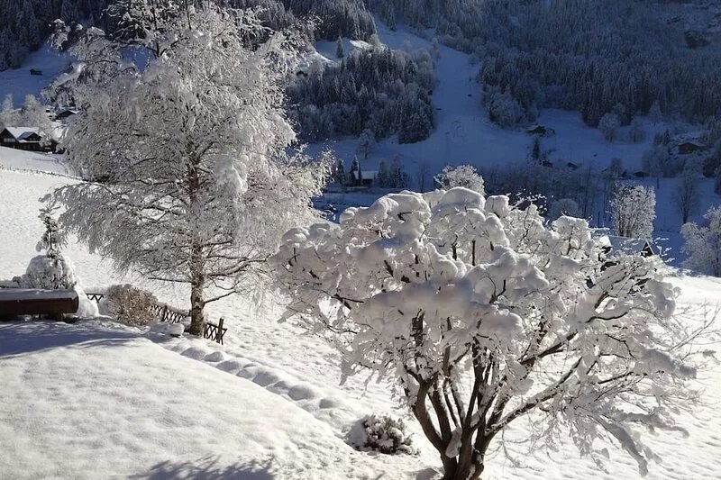 Apartment Bärgsunna  in Grindelwald, Bernese Oberland - 2 persons, 1 bedroom