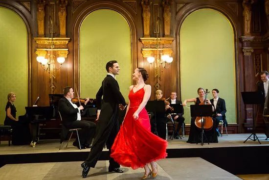 The Private Concert Series by waltz in vienna