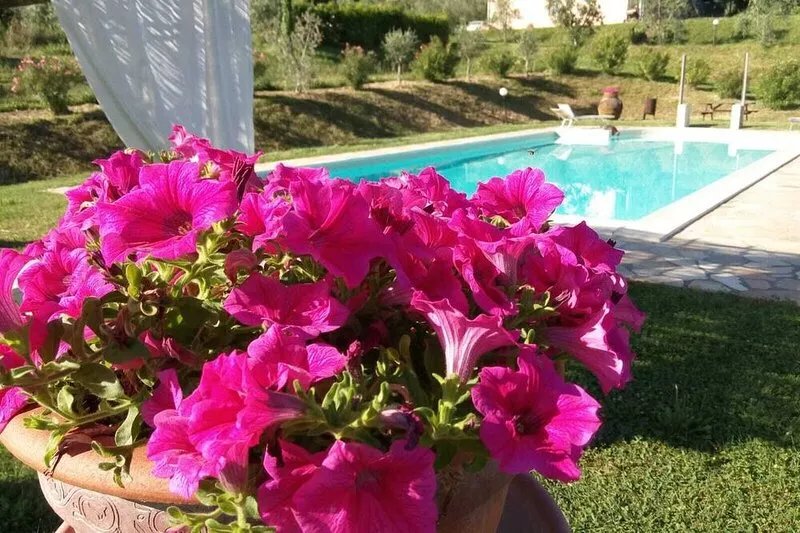 Tramonto apartment, Charming Farmhouse Private Pool and Private Outside Area