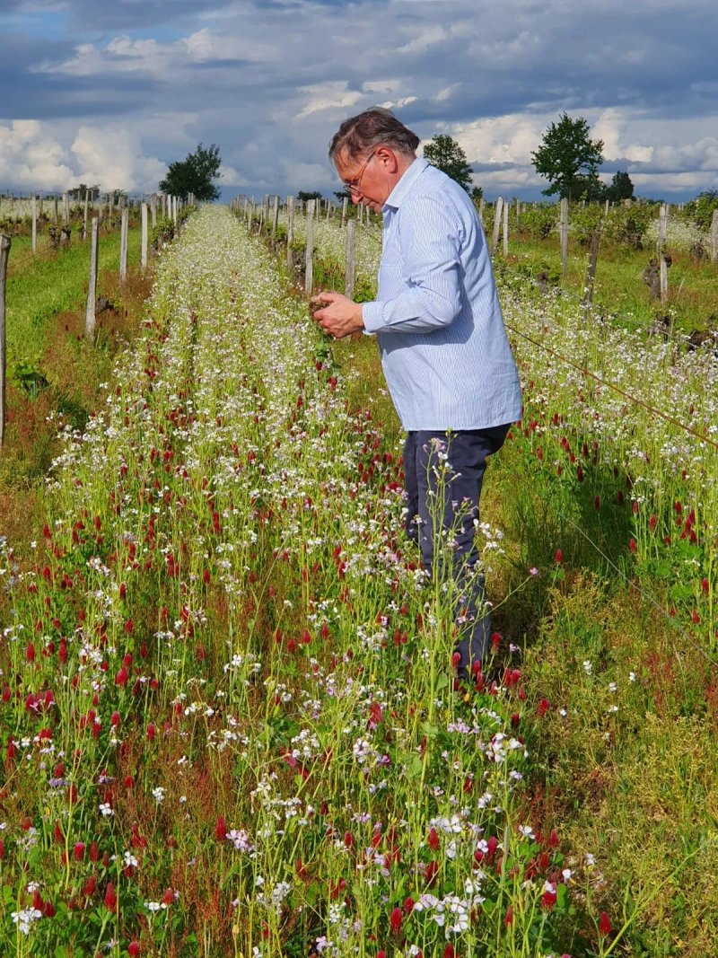 Domaine Les Vaucorneilles
