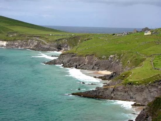 Corcoran Tours- Day Tours