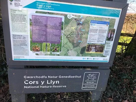 Cors Y Llyn  National Nature Reserve