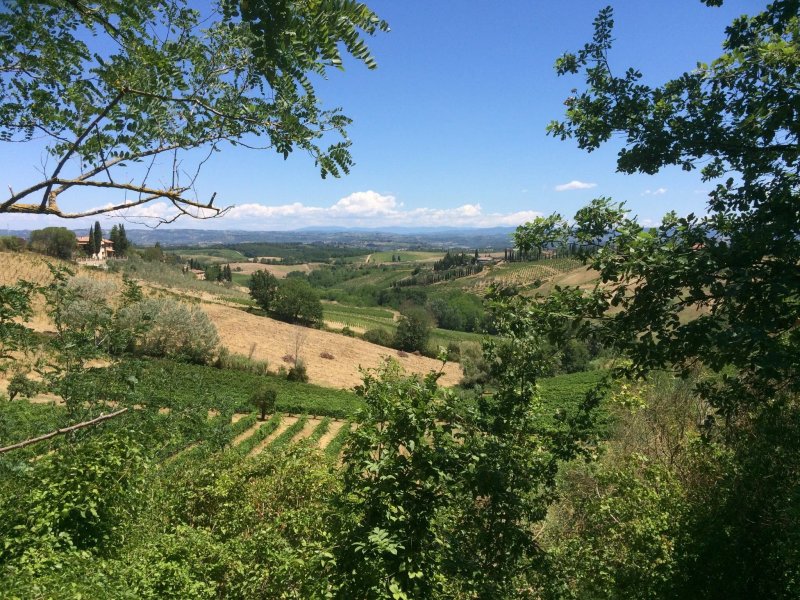 Agriturismo Bibbiani