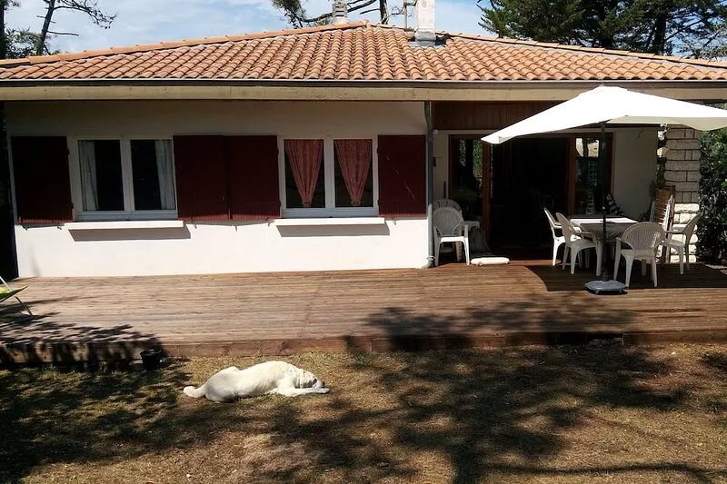 Family vacation home by the ocean - 3 bedrooms, garden and terrace