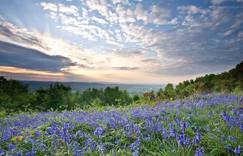 Luxury, contemporary, detatched cottage in rural setting, only 4 miles to beach.