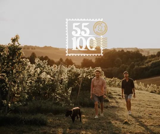 Winnica 55-100