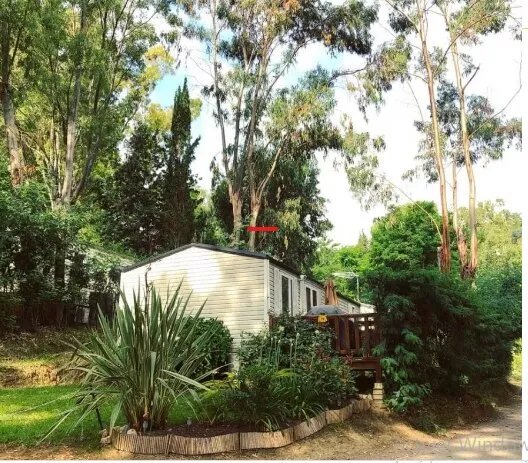 Mobil home - Le Bil'Home des Bois
