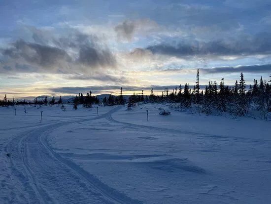 Wild Spirit Dog Sledding and Bushcraft