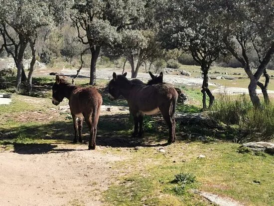 Parquelagos, Torrelodones, Galapagar, La Navata, Circular