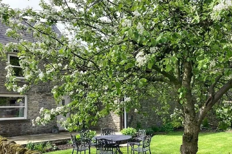A cosy rural retreat in a picturesque village