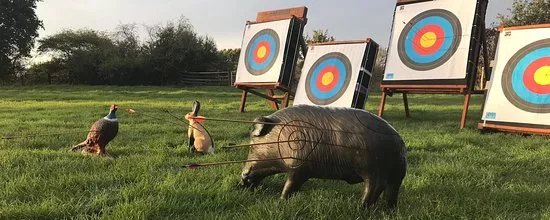 Arrowdox Archery