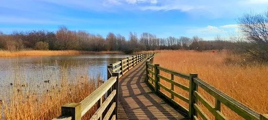Waters' Edge Country Park & Visitor Centre