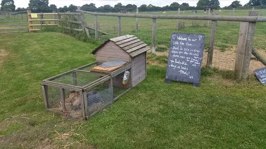 Hackwood Farm