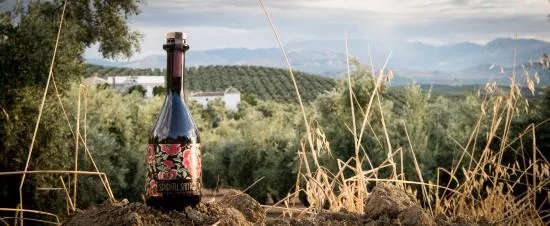 Cortijo Spiritu Santo