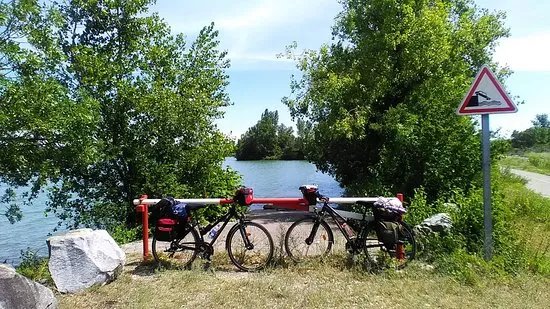 Cycletic Rental Service