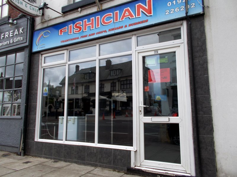 The Fishician