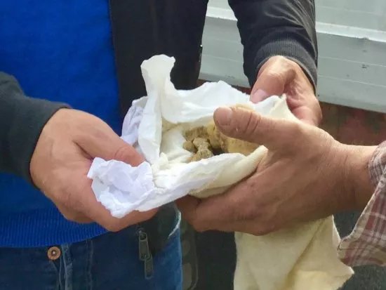 Tartufi di Acqualagna - Truffle Tasting and Shop