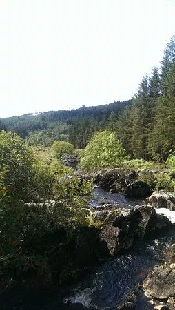 Kirroughtree - 7stanes